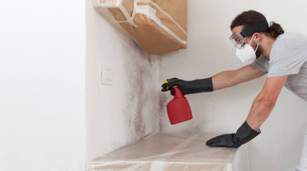 Professional Bathroom Mold Removal technician working in Lexington, KY