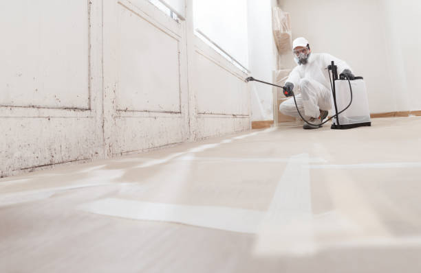 24/7 Emergency Bathroom Mold Removal experts in Lexington, KY